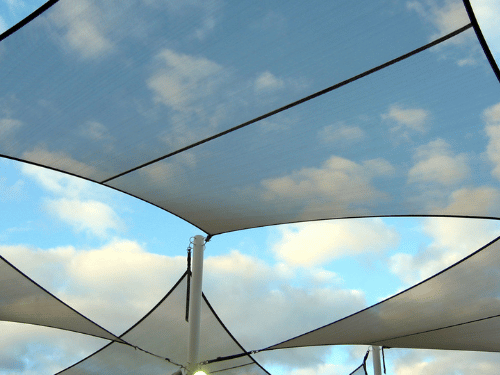 Landscaping in McKinney TX