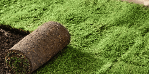 Landscaping in McKinney TX Landscaping in McKinney TX