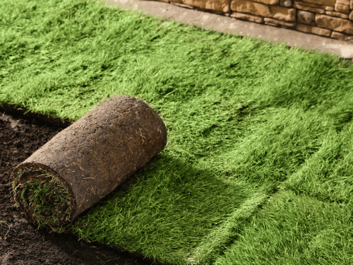 Landscaping in McKinney TX