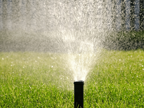 Landscaping in McKinney, TX