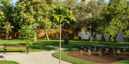 Landscaping in McKinney TX Landscaping in McKinney TX