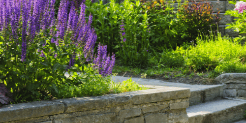 Landscaping in McKinney TX Landscaping in McKinney TX