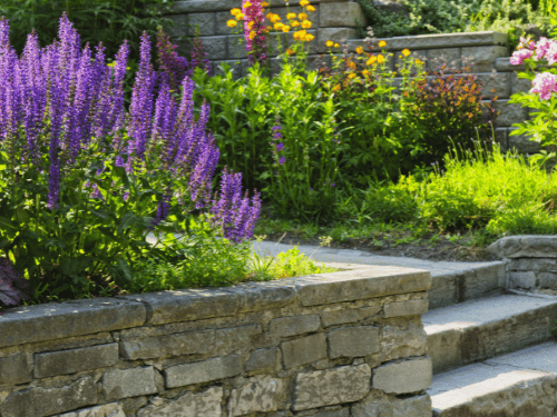 Landscaping in McKinney TX