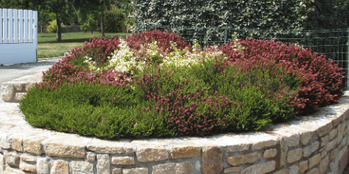 Landscaping in McKinney TX Landscaping in McKinney TX