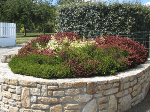 Landscaping in McKinney TX