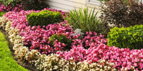 Landscaping in McKinney TX Landscaping in McKinney TX