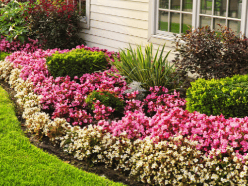 Landscaping in McKinney TX
