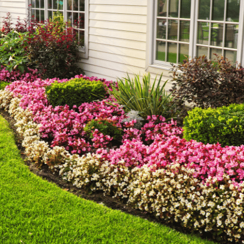 Landscaping in McKinney TX