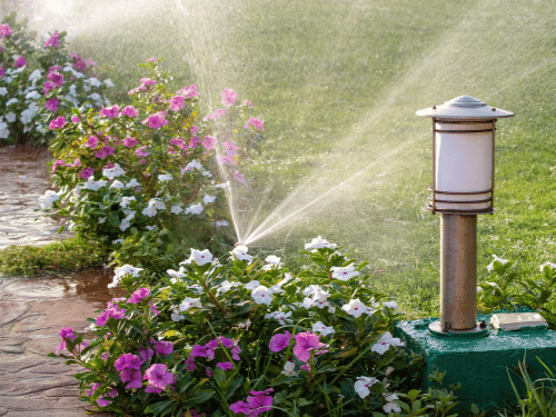 Landscaping in McKinney TX