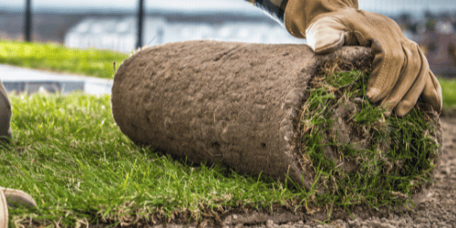 Landscaping in McKinney TX