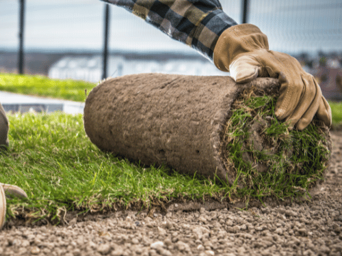 Landscaping in McKinney TX