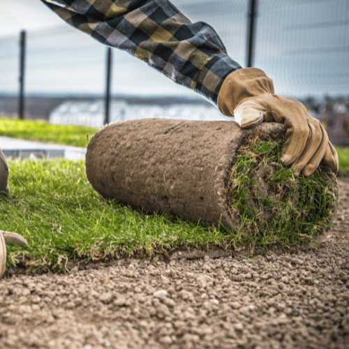 Landscaping in McKinney TX9 Landscaping in McKinney TX